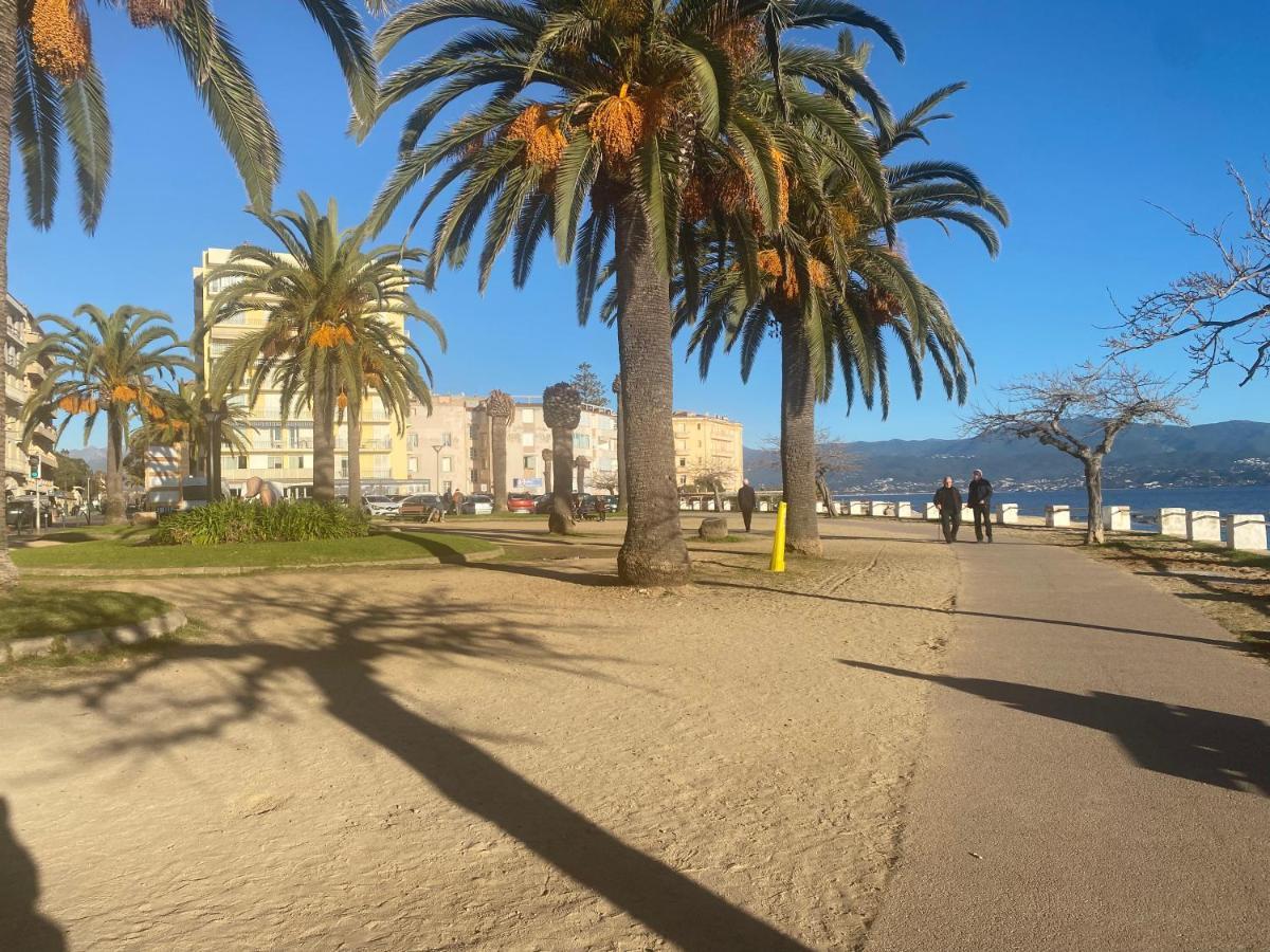 Neuf Et Lumineux - Ajaccio Centre - Place Miot/albert 1er Apartment *