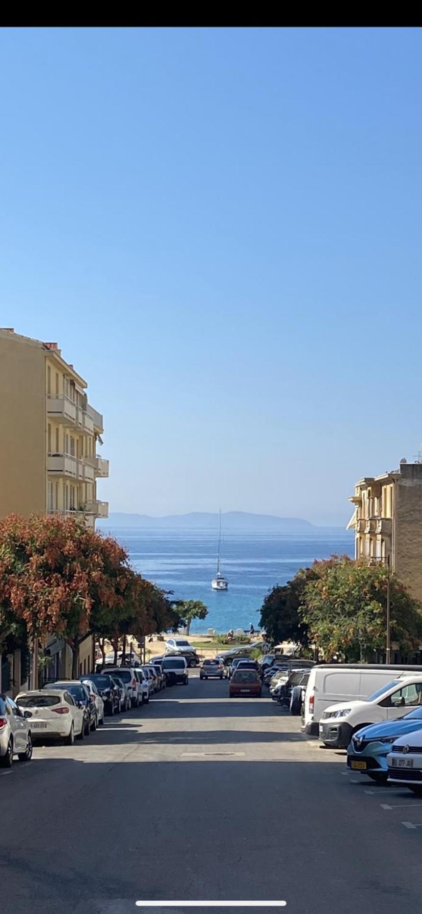 Neuf Et Lumineux - Ajaccio Centre - Place Miot/albert 1er Apartment *